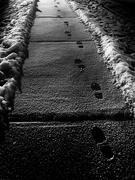 24th Jan 2019 - footsteps in the slush