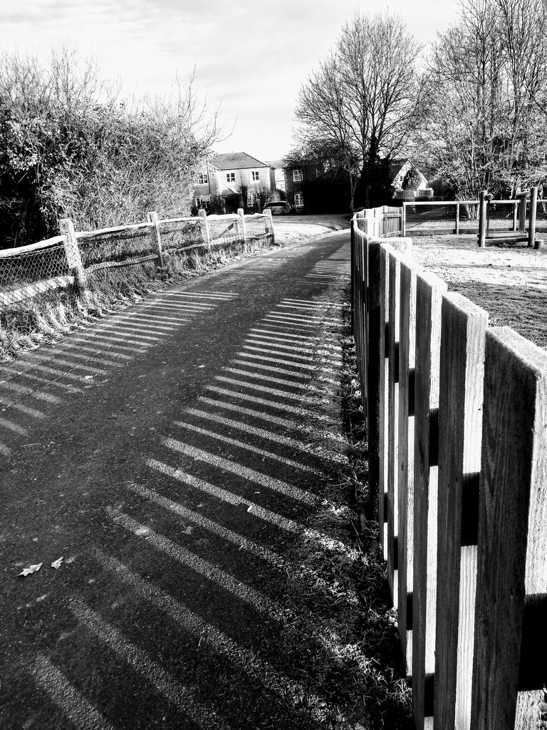 Fencepost shadows by 4rky