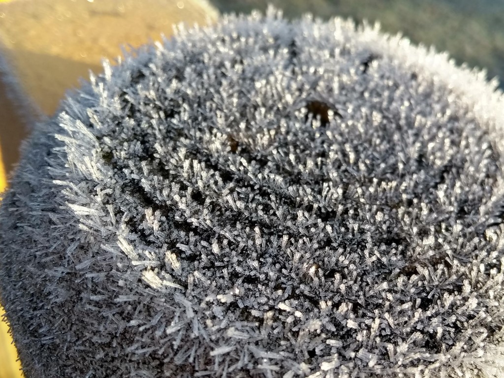 Fence post frost  by 4rky