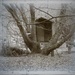 Treehouse by ajisaac