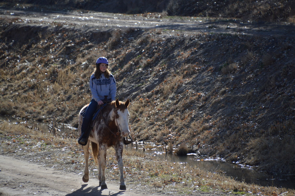Horseback Rider Enjoying A Sunny Day.  by bigdad