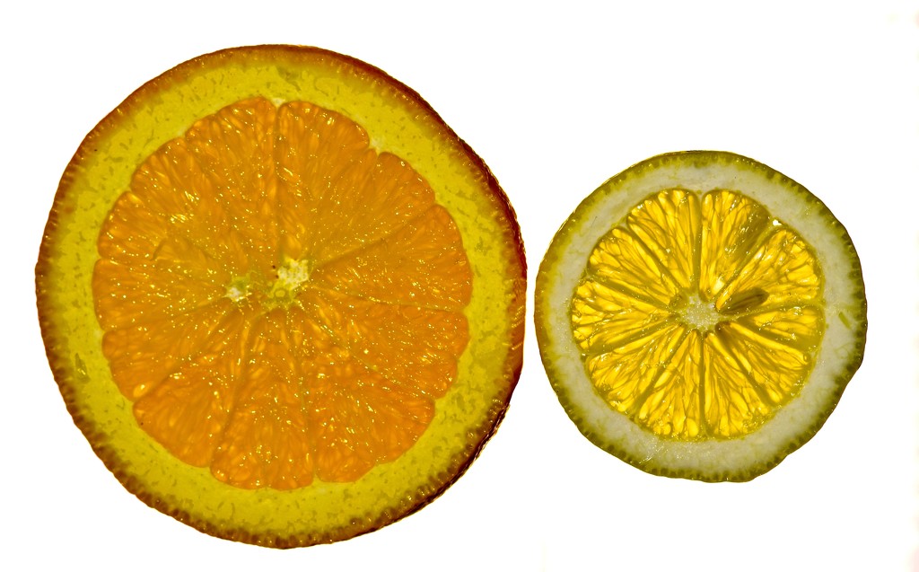 Orange and Lemon Slices by billyboy
