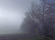 23rd Jan 2019 - 240 Into the mist and over the gate