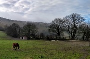 25th Jan 2019 - At the foot of the Downs