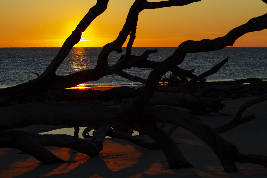 Driftwood Beach Sunrise by kvphoto