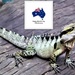 Happy Australia Day ~      by happysnaps