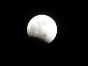 19th Jan 2019 - Super Moon Total Eclipse 