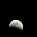 Super Moon Total Eclipse  by marylandgirl58