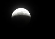 20th Jan 2019 - Super Moon Total Eclipse