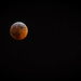 Super Moon Total Eclipse  by marylandgirl58