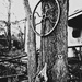 Wheel on Tree by jeffjones