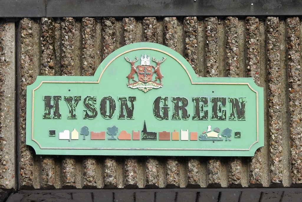Hyson Green by oldjosh