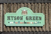 14th Jan 2019 - Hyson Green