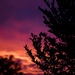 Sunday night sunset by nicolecampbell