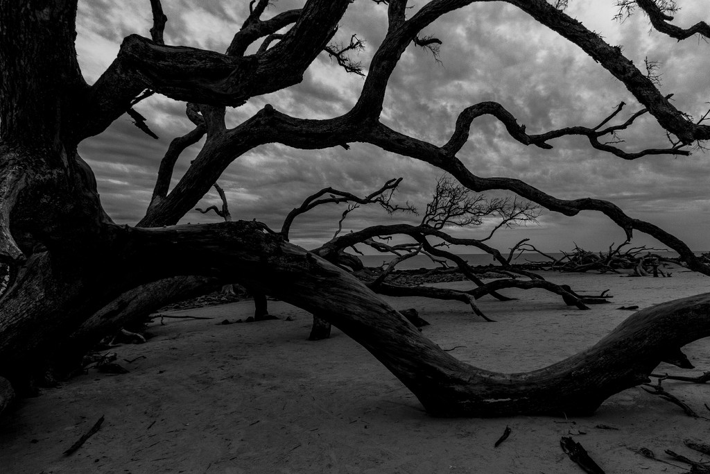 Driftwood Beach Stormy Skies by kvphoto