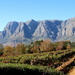 2018 12 09 Stellenbosch winelands by kwiksilver