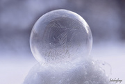 27th Jan 2019 - Frozen bubble!