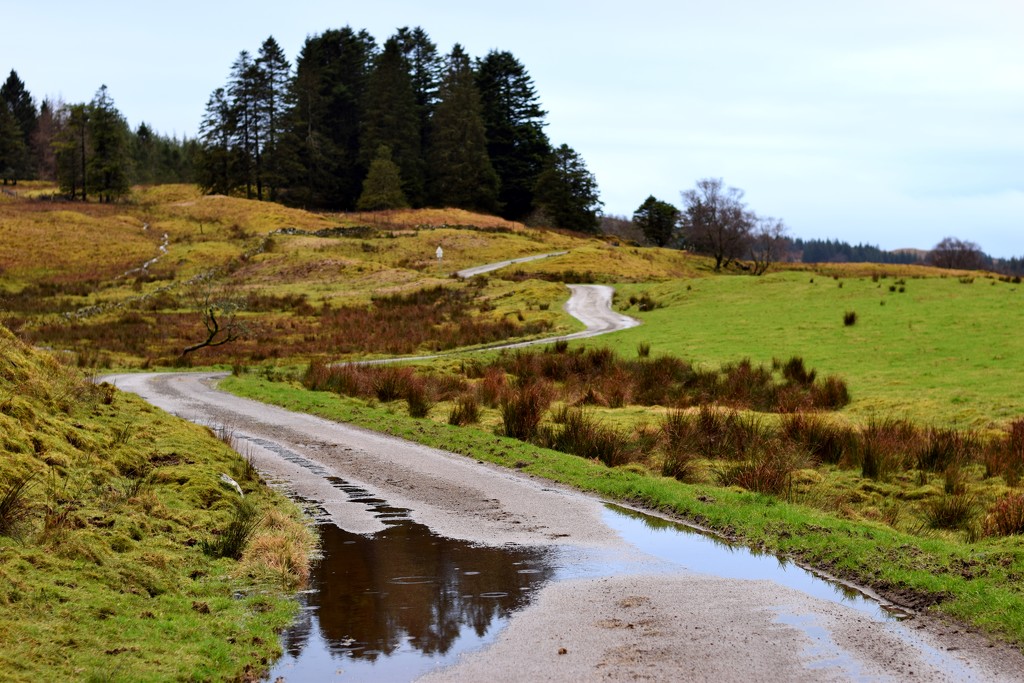 the wet and winding road by christophercox