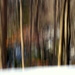 The Colours of Winter (ICM) by jayberg