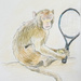 Monkey Tennis by harveyzone
