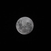 Full Moon by creative_shots