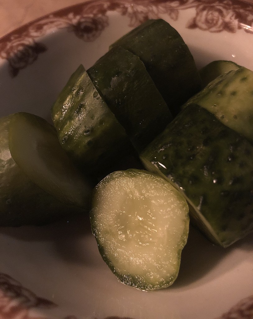 Fresh kosher garlic dill pickles by homeschoolmom