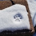 Snow Cat Footprint by scoobylou