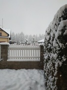 28th Jan 2019 - Snow in Velké Bílovice