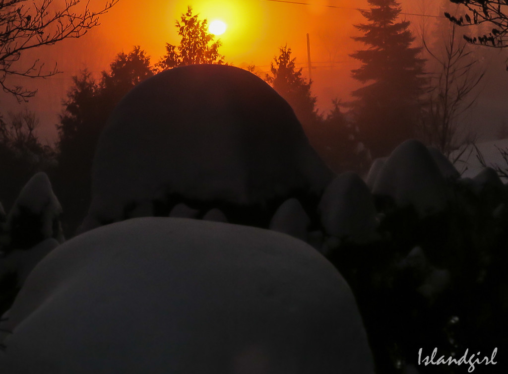 Frosty sunrise  by radiogirl