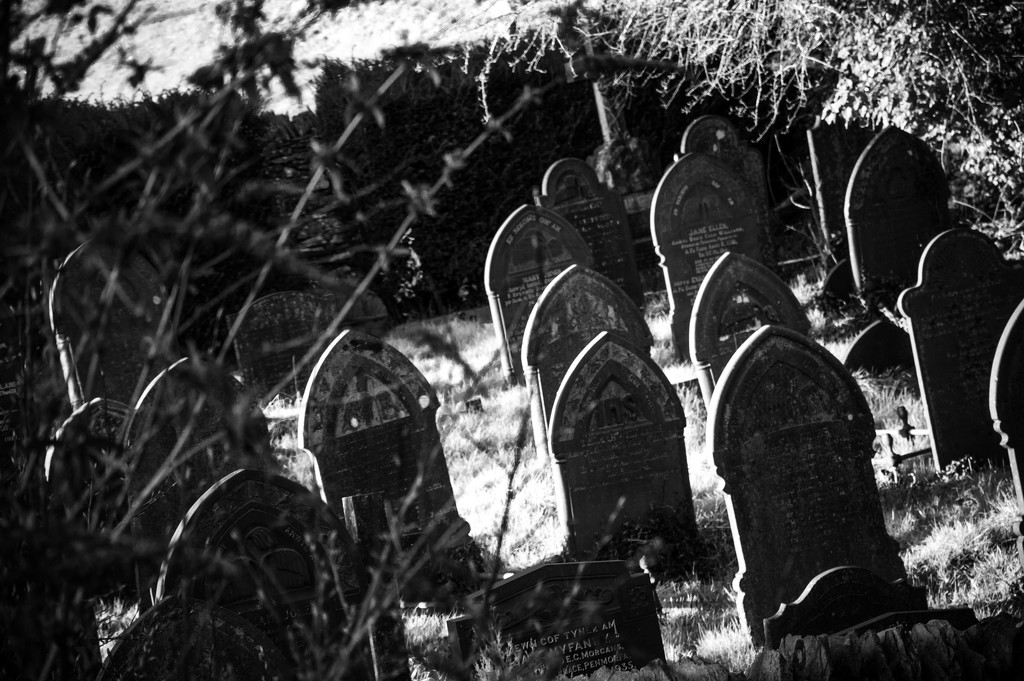 The old graveyard by overalvandaan