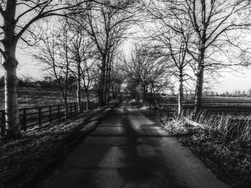 Drive way - black and white by shannejw