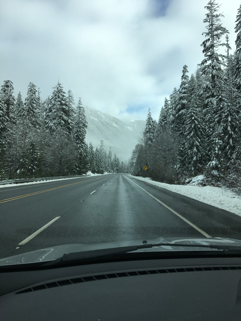 Driving over Stevens Pass by clay88