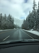 17th Jan 2019 - Driving over Stevens Pass