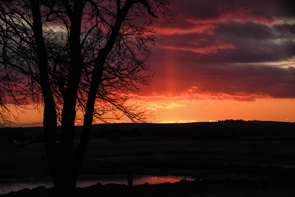 Sun Pillar, Tree, Pond by kareenking