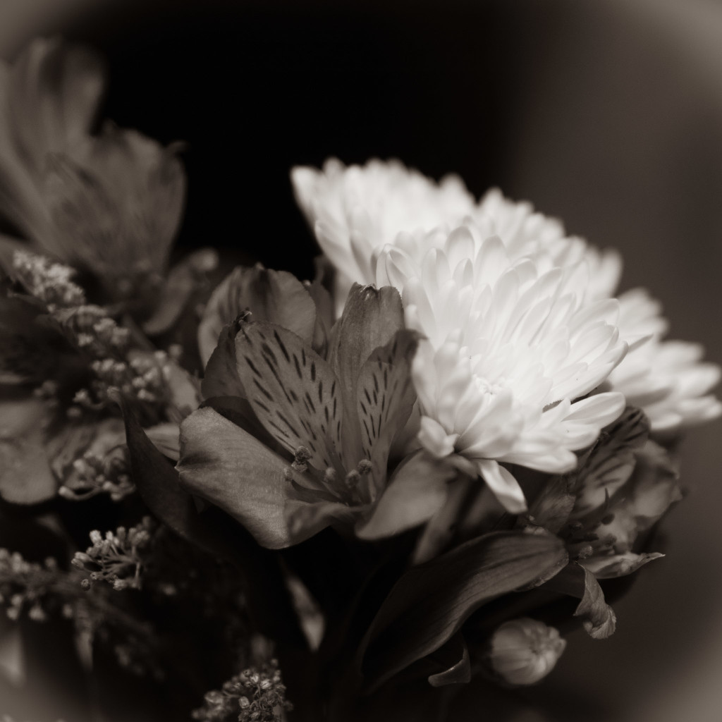Wintertime bouquet by randystreat