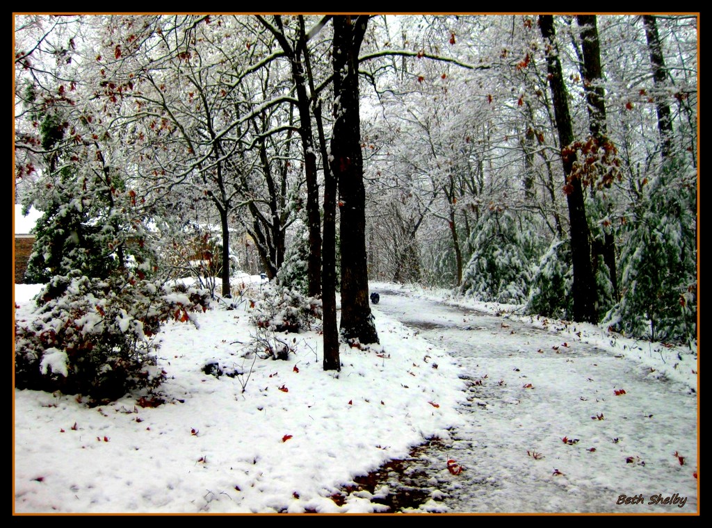 Snowy Driveway by vernabeth