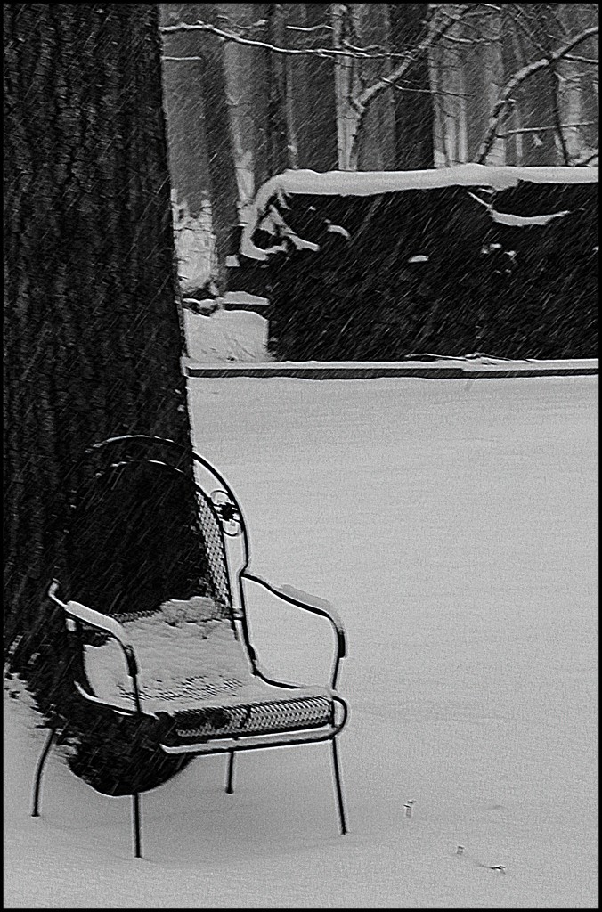 Snowy Day by olivetreeann