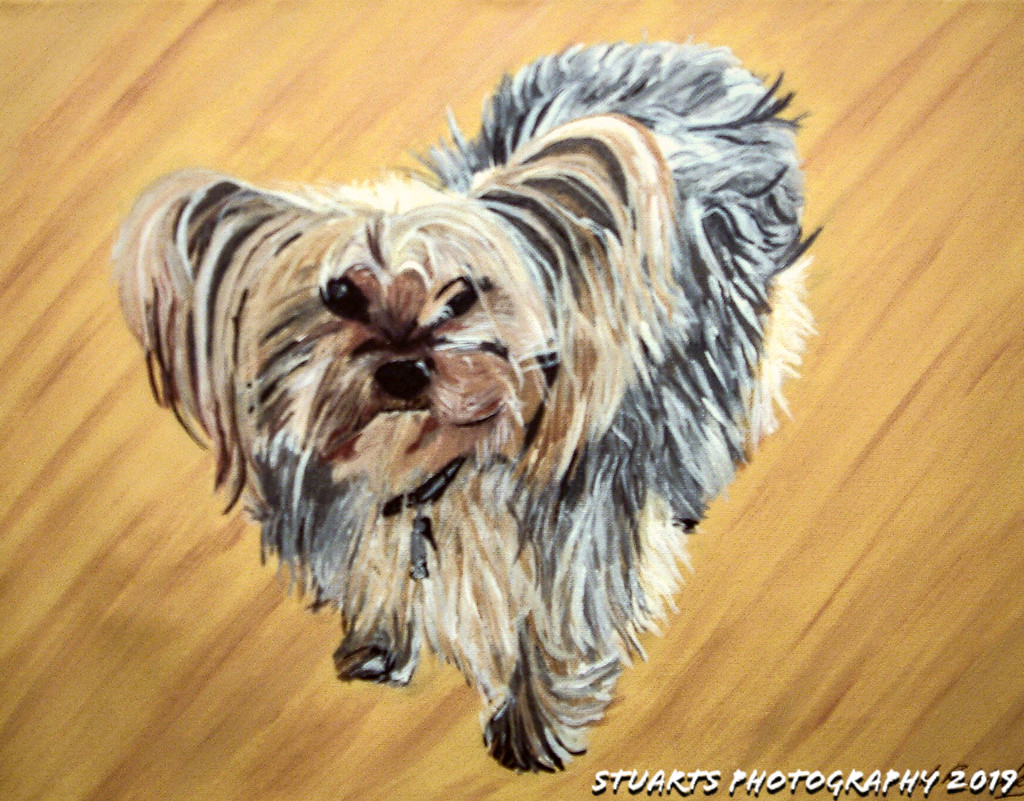 Painting (dog) by stuart46