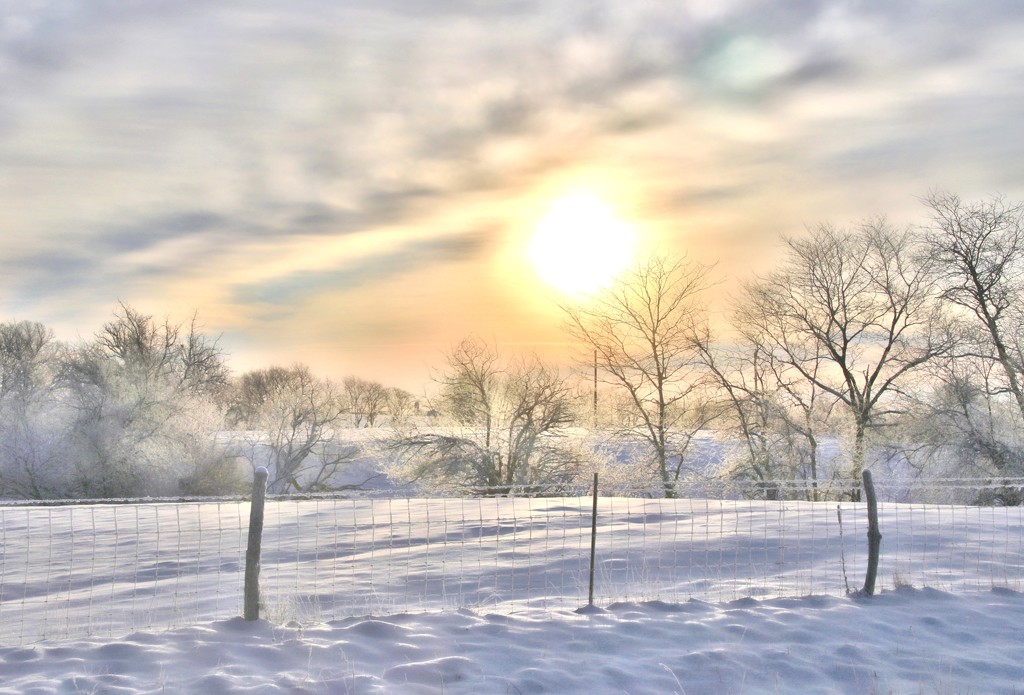 Winter Morning by lynnz