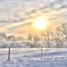 Winter Morning by lynnz