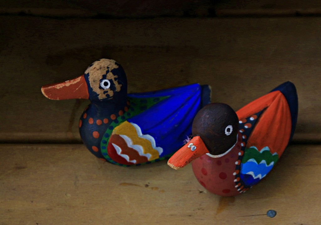 Ugly ducklings by kiwinanna