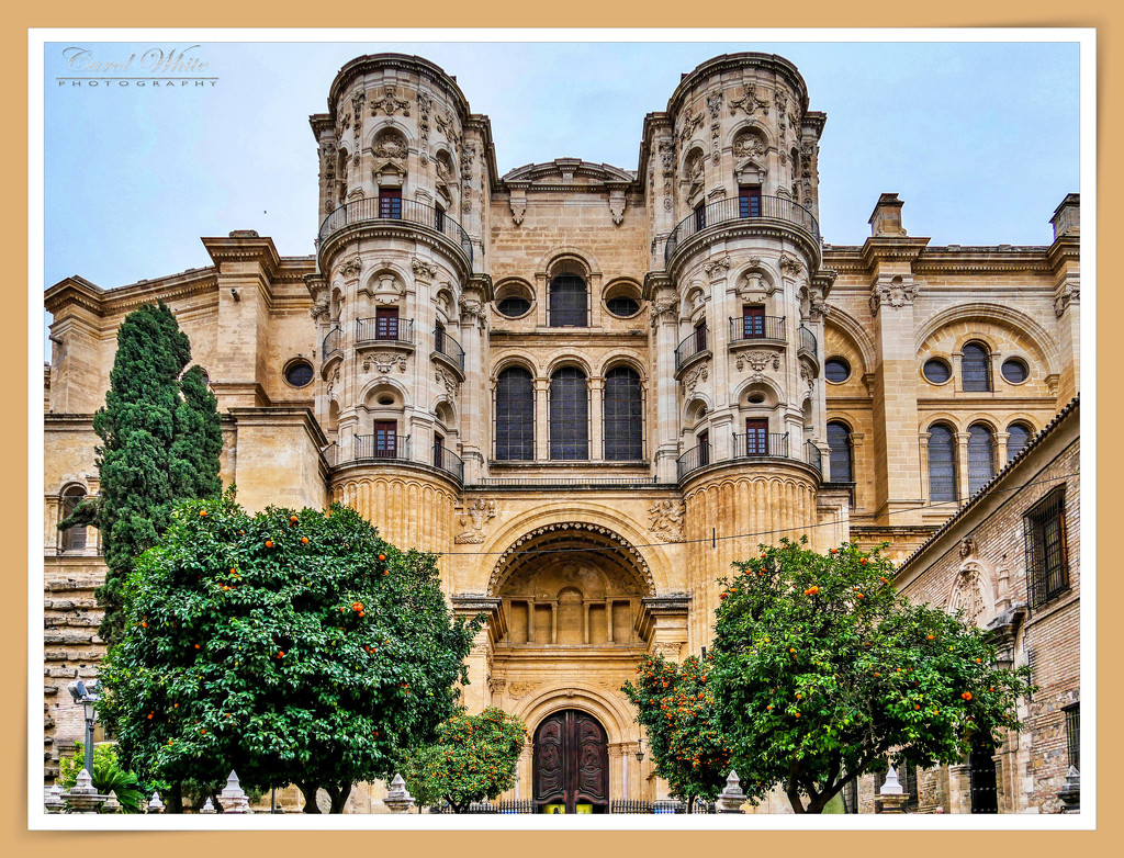 Portal to Las Cadenas, Malaga Cathedral by carolmw