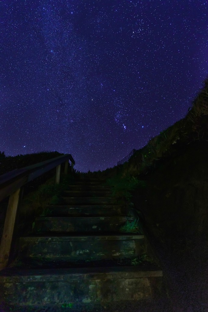 Stairway To Orion and the Milky Way  by jgpittenger