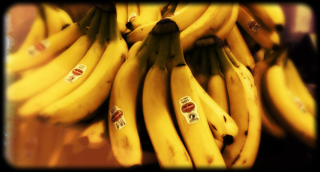 Going Bananas by jeffjones