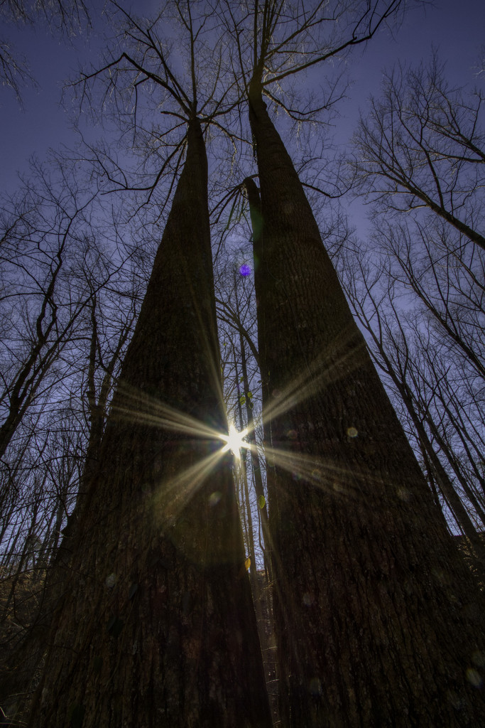 Sentinels of the Light by kvphoto