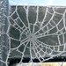Frosted web I by 4rky