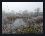 31st Jan 2019 - Frosty Pond