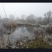 Frosty Pond by oldjosh