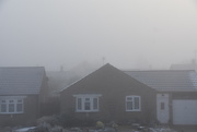 31st Jan 2019 - Winter Fog