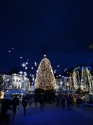 3rd Jan 2019 - Christmas lights in Ljubljana